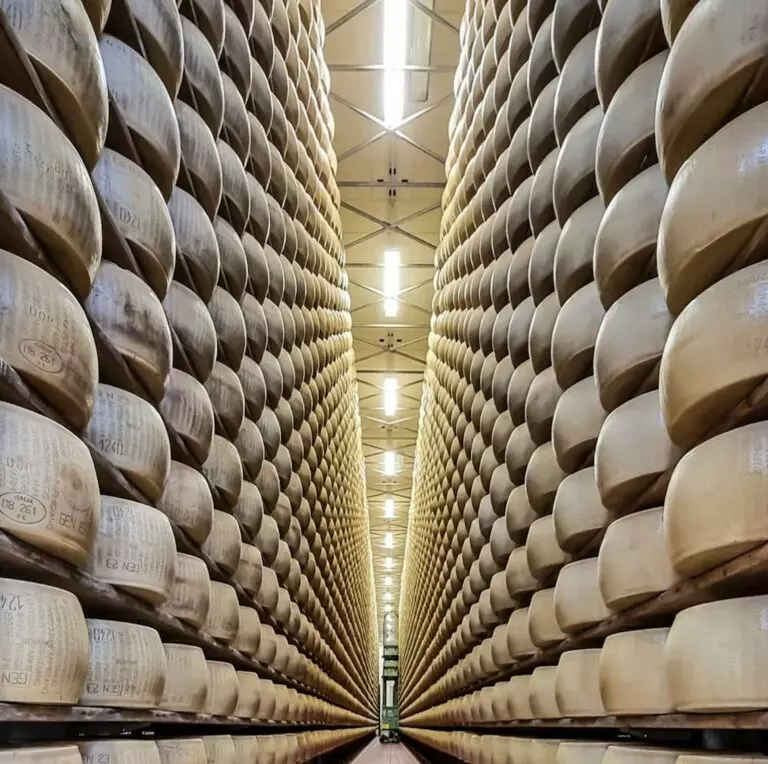 Cheese