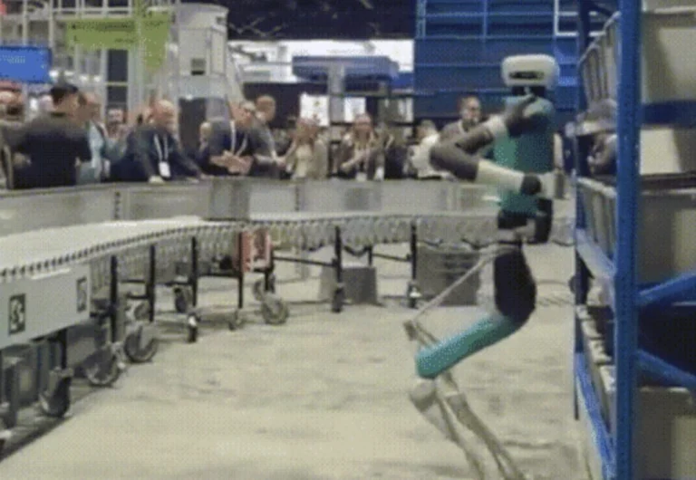 Robot